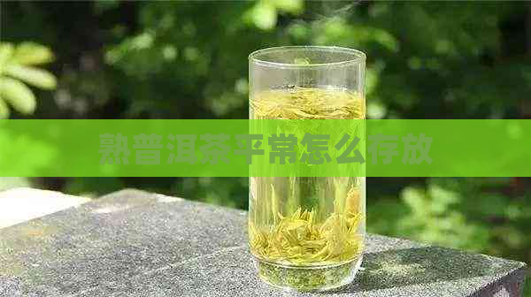 熟普洱茶平常怎么存放