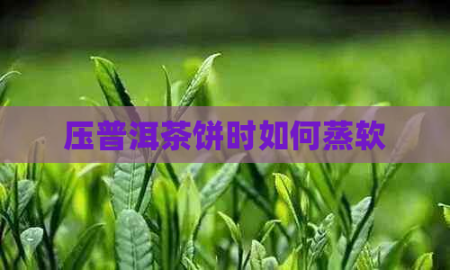 压普洱茶饼时如何蒸软