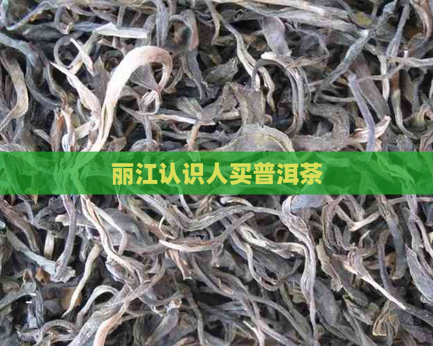 丽江认识人买普洱茶