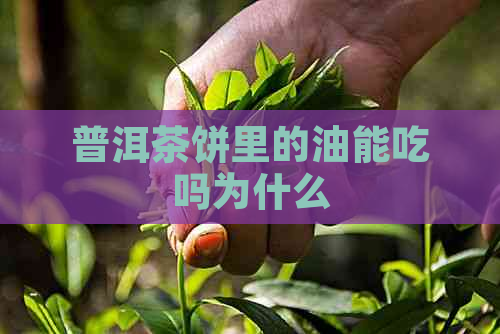 普洱茶饼里的油能吃吗为什么