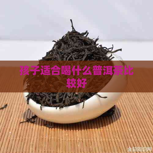 孩子适合喝什么普洱茶比较好