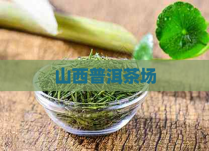 山西普洱茶场