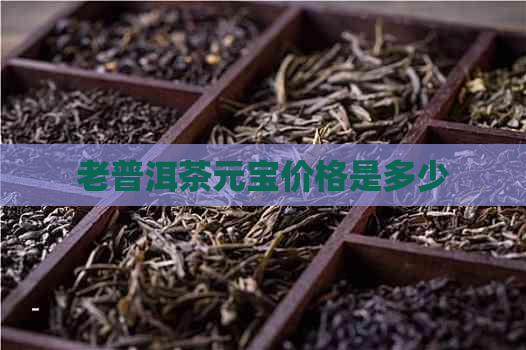 老普洱茶元宝价格是多少