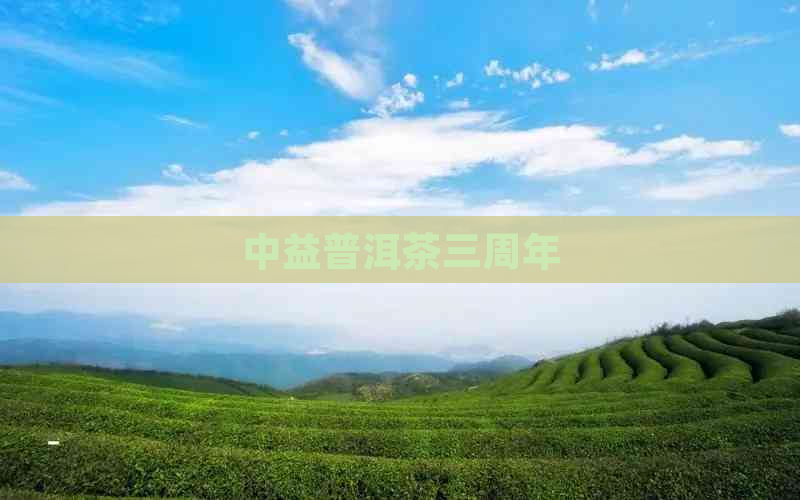 中益普洱茶三周年