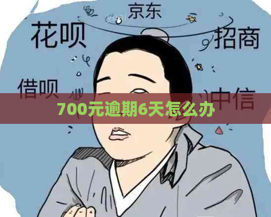 700元逾期6天怎么办