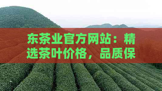 东茶业官方网站：精选茶叶价格，品质保证，一键购买