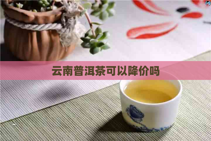 云南普洱茶可以降价吗