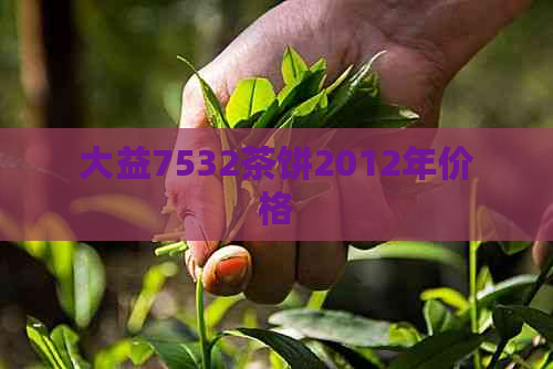 大益7532茶饼2012年价格