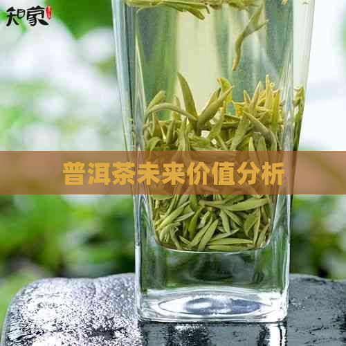 普洱茶未来价值分析