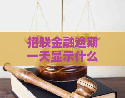 招联金融逾期一天显示什么信息