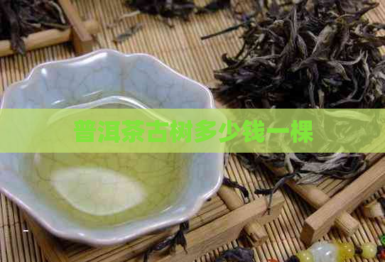 普洱茶古树多少钱一棵