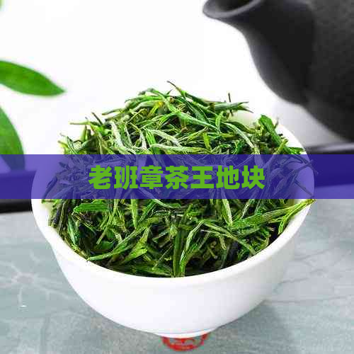 老班章茶王地块