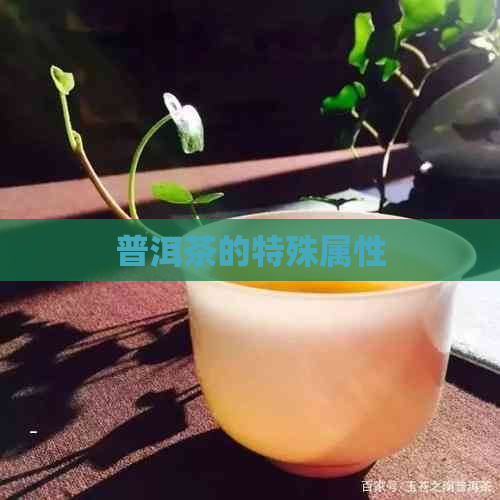 普洱茶的特殊属性