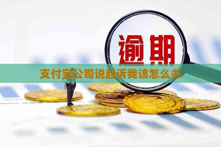 支付宝公司说起诉我该怎么办