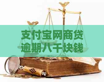 支付宝网商贷逾期八千块钱如何处理