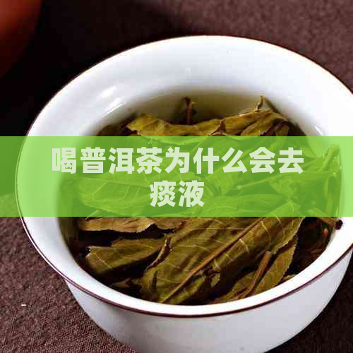 喝普洱茶为什么会去痰液