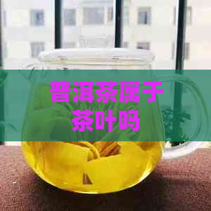 普洱茶属于茶叶吗