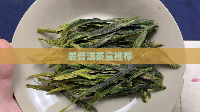 装普洱茶盒推荐