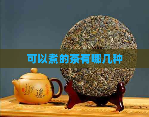 可以煮的茶有哪几种