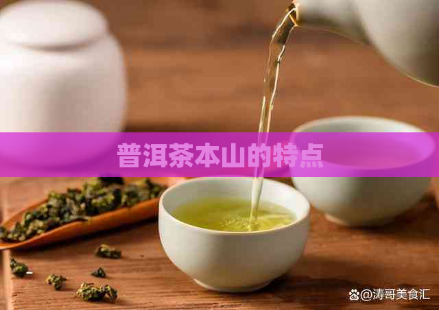 普洱茶本山的特点