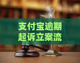 支付宝逾期起诉立案流程应该怎么进行