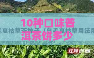 10种口味普洱茶饼多少钱