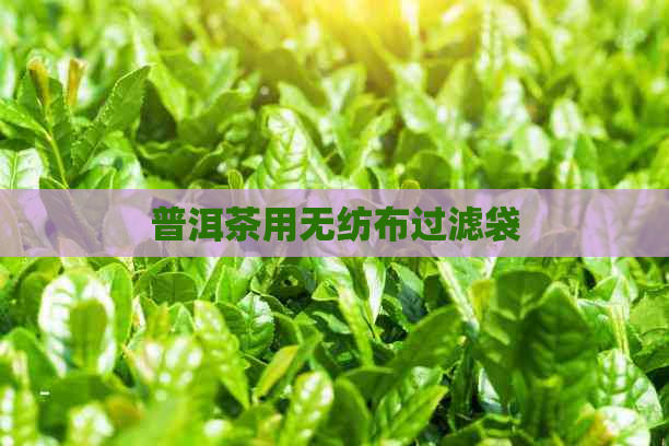 普洱茶用无纺布过滤袋