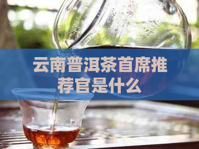 云南普洱茶首席推荐官是什么