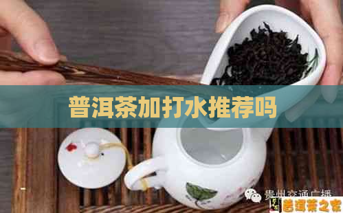 普洱茶加打水推荐吗