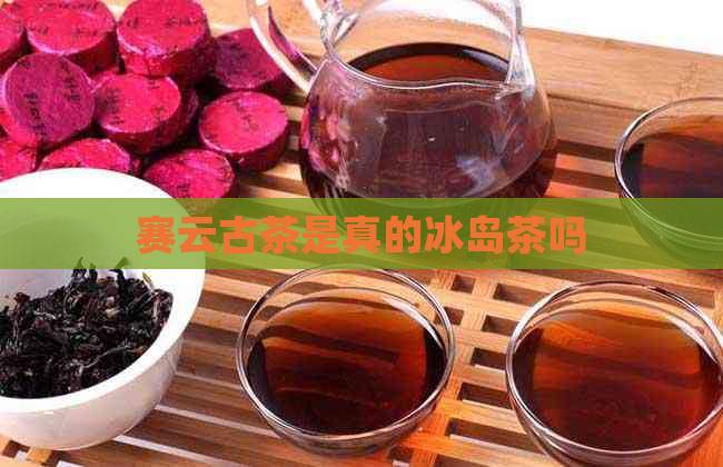 赛云古茶是真的冰岛茶吗