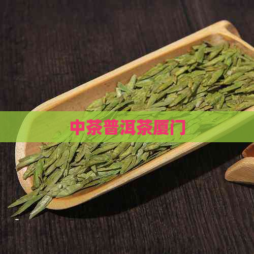 中茶普洱茶厦门