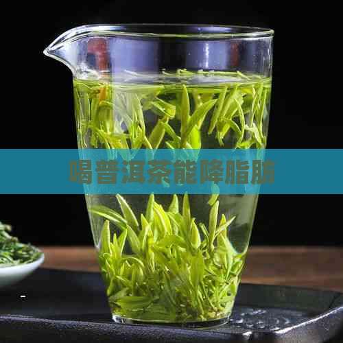 喝普洱茶能降脂肪