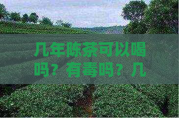 几年陈茶可以喝吗？有吗？几年的陈茶能喝吗？好几年的陈茶叶有什么用啊？