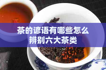 茶的谚语有哪些怎么辨别六大茶类