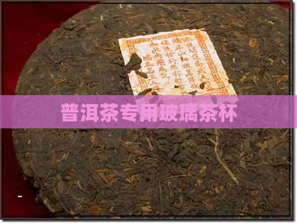 普洱茶专用玻璃茶杯