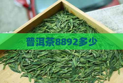 普洱茶8892多少