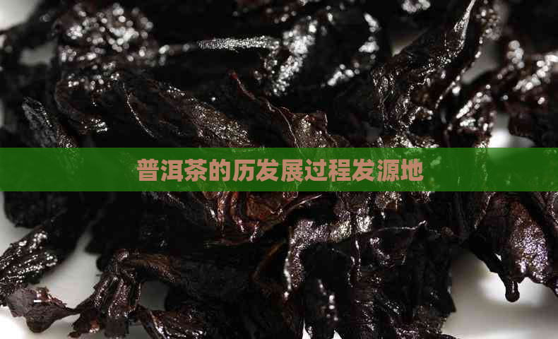 普洱茶的历发展过程发源地