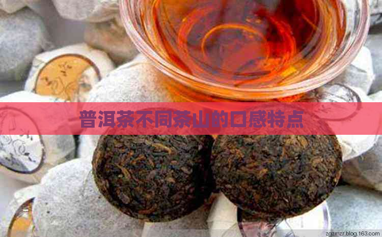 普洱茶不同茶山的口感特点