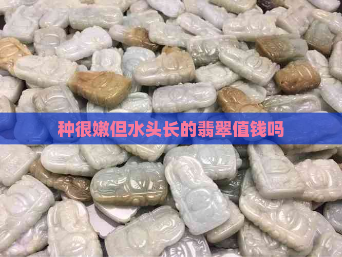 种很嫩但水头长的翡翠值钱吗