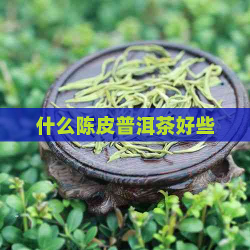 什么陈皮普洱茶好些