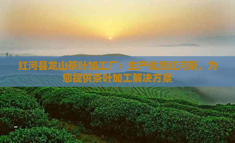 红河县龙山茶叶加工厂：生产优质红河茶，为您提供茶叶加工解决方案