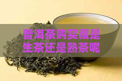 普洱茶购买藏是生茶还是熟茶呢