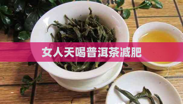 女人天喝普洱茶减肥