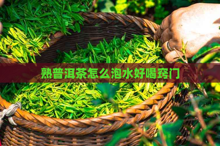 熟普洱茶怎么泡水好喝窍门