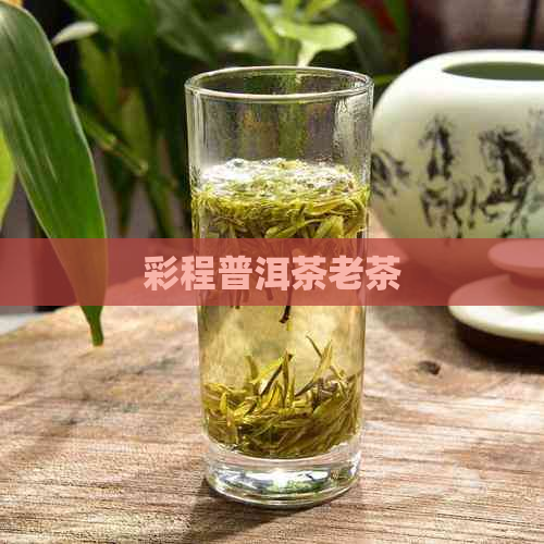 彩程普洱茶老茶