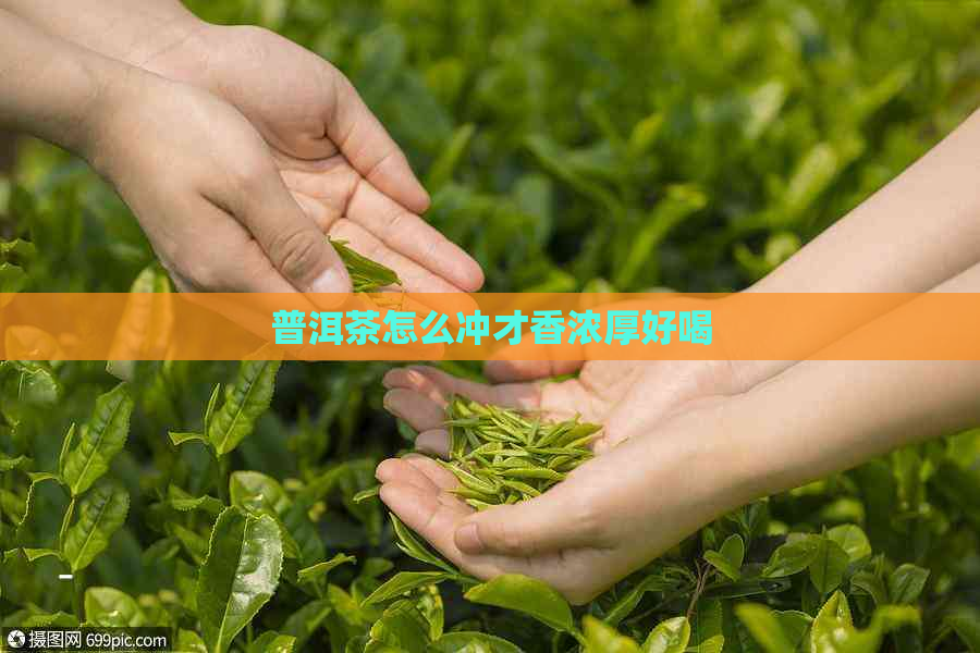 普洱茶怎么冲才香浓厚好喝