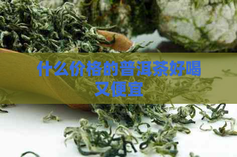 什么价格的普洱茶好喝又便宜