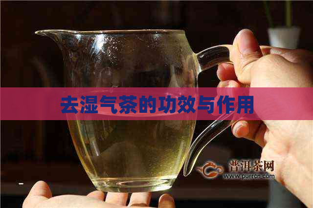 去湿气茶的功效与作用