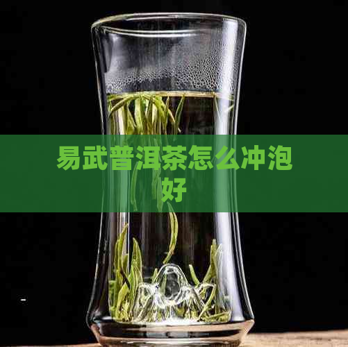 易武普洱茶怎么冲泡好