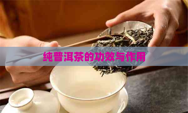 纯普洱茶的功效与作用